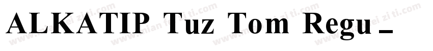 ALKATIP Tuz Tom Regu字体转换